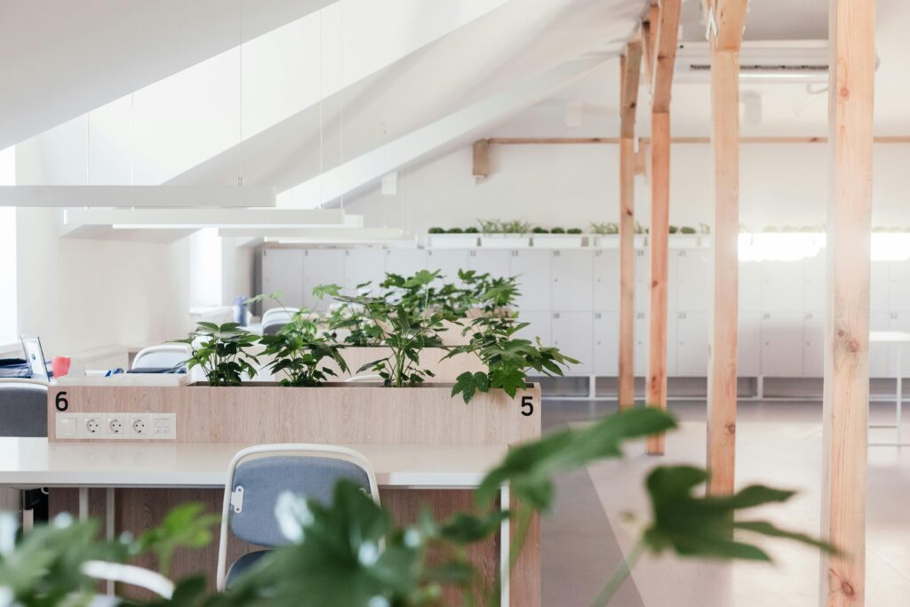 Bright, minimalist office space with natural light and indoor plants, emphasizing a calm work environment.